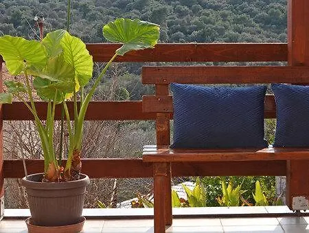 Apartment Morena *